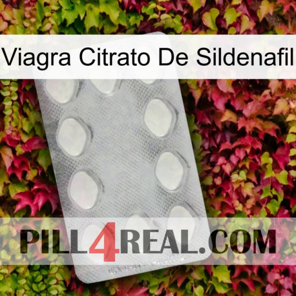 Viagra Sildenafil Citrate 16.jpg